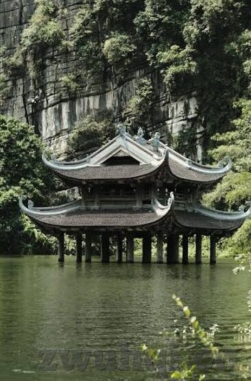 成人激情免费在线视频-点燃生活火花，探索成人激情的免费在线视频