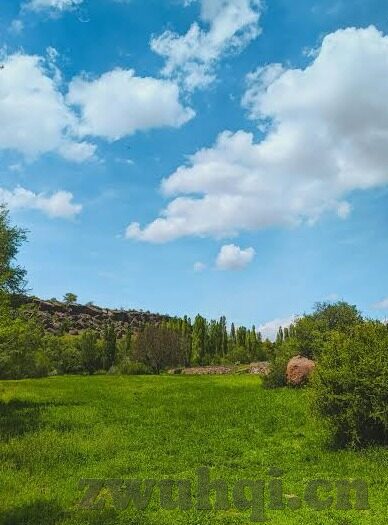成人性视频网上直播-成人性视频网上直播，灰色地带的伦理与法律审视