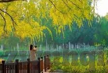 伦理小说排行2018小说-2018年伦理小说排行，人性光辉与道德困境的深度剖析