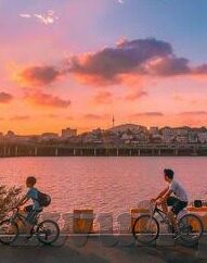 麻豆传媒映画app安卓-科技与文化的正面碰撞，解析麻豆传媒映画app在安卓平台上的影响