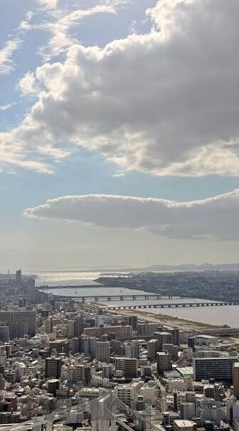 麻豆文化影视传媒APP-数字时代的娱乐新地标，麻豆文化影视传媒APP的魅力与挑战