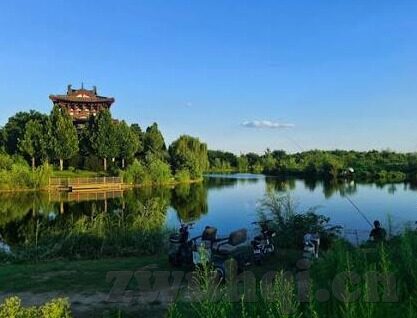 如何下载大象传媒-探索大象传媒的下载之旅，从初识到实践